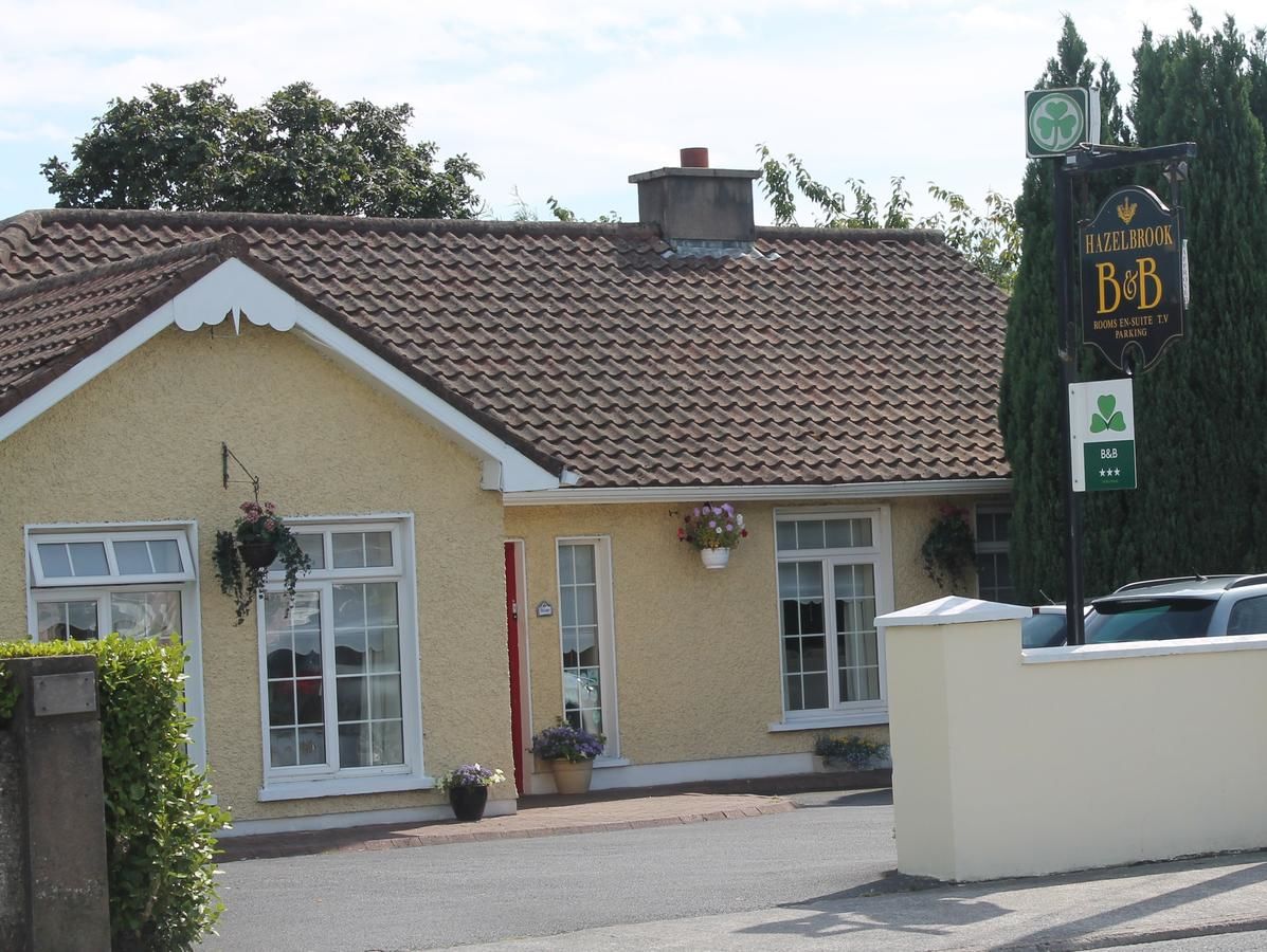 Отели типа «постель и завтрак» Hazelbrook B&B Уотерфорд-4